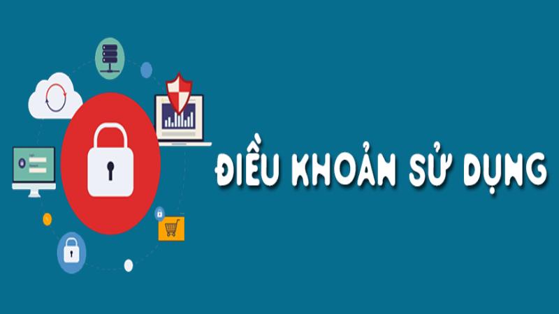 dieu khoan su dung 2 Những đổi mới về quy định điều khoản sử dụng của 009