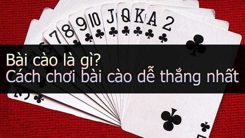 Giới thiệu về bài cào