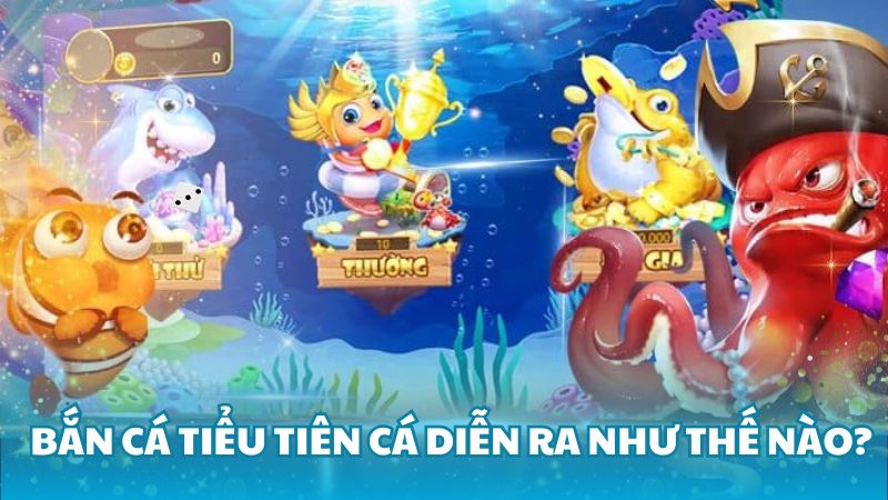 ban ca tieu tien ca truc tiep 4 Cách chơi bắn cá tiểu tiên cá trực tiếp